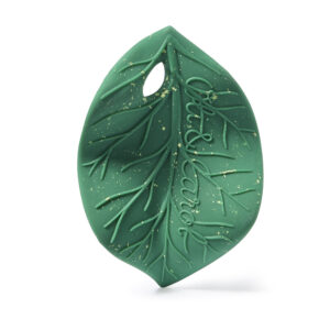 Chlorophyll Leaf