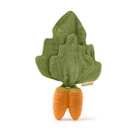 Cathy the Carrot