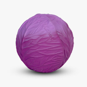Purple Cabbage