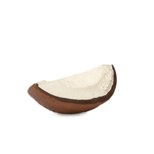 Coco the Coconut