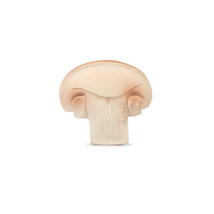 Manolo the Mushroom