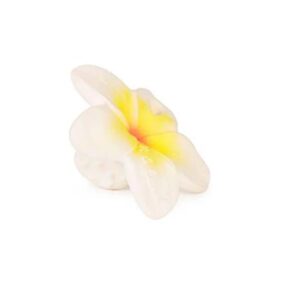 Hawaii the Flower