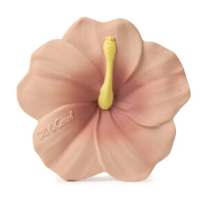 Iris the Hibiscus