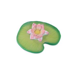 Water Lily