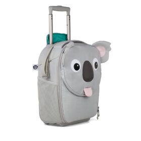 Grey Koala