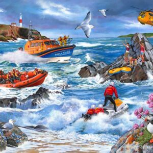 Against The Tide 1000 Piece Puzzle