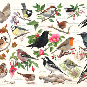 Birds In My Garden 1000 Piece Puzzle