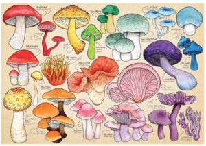 Mushroom Mania 1000 Piece Puzzle