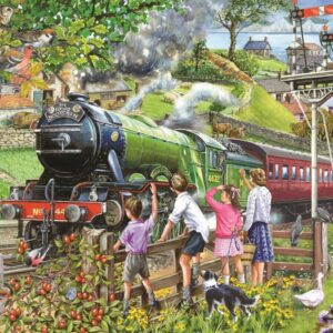 Full Steam Ahead 1000 Piece Puzzle