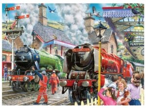 Checking the Line 1000 Piece Puzzle