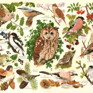 Woodland Birds BIG 500 Puzzle
