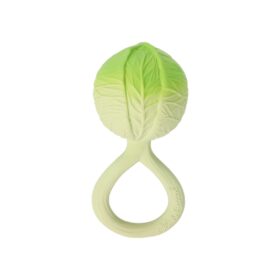 Cabbage